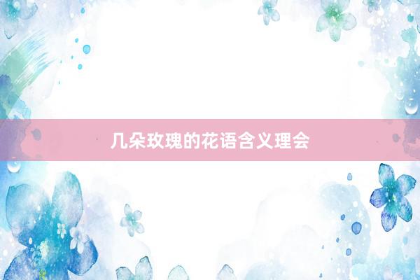 几朵玫瑰的花语含义理会